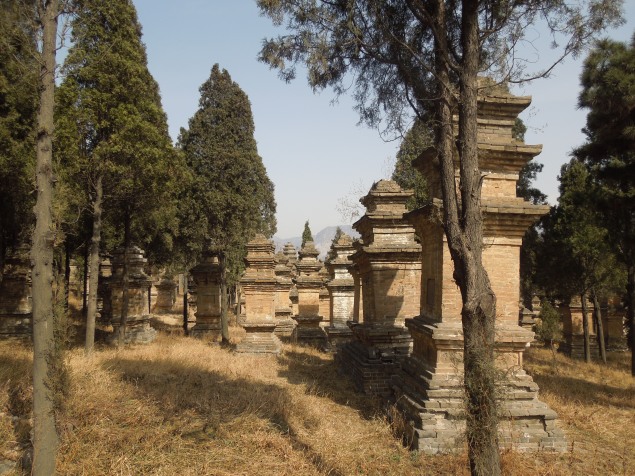 Forêt de Pagodes du monastère Shaolin